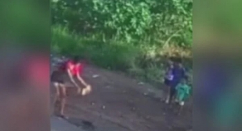 Jovem é suspeita de matar gato com bloco de concreto na frente de várias crianças em Trindade